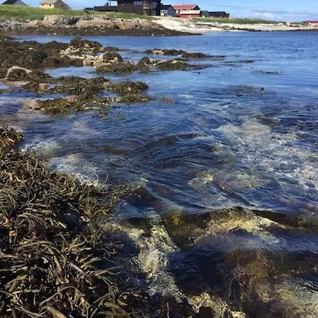 Moderne Hus Sentralt Pa Andenes